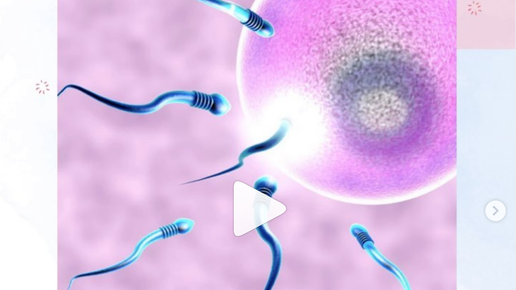Оплодотворение в полости матки. Эко экстракорпоральное оплодотворение. Поддерживающие физиотерапия в цикле переноса эмбриона. Шприц с помощью которого переносят эмбрионы в полость матки. Перенесенный эмбрион может сместиться.