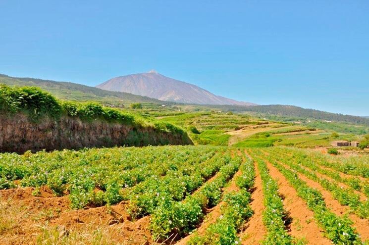 https://www.giardinaggio.it/ortofrutta/orto-biologico/aziende-agricoltura-biologica_NG4.jpg