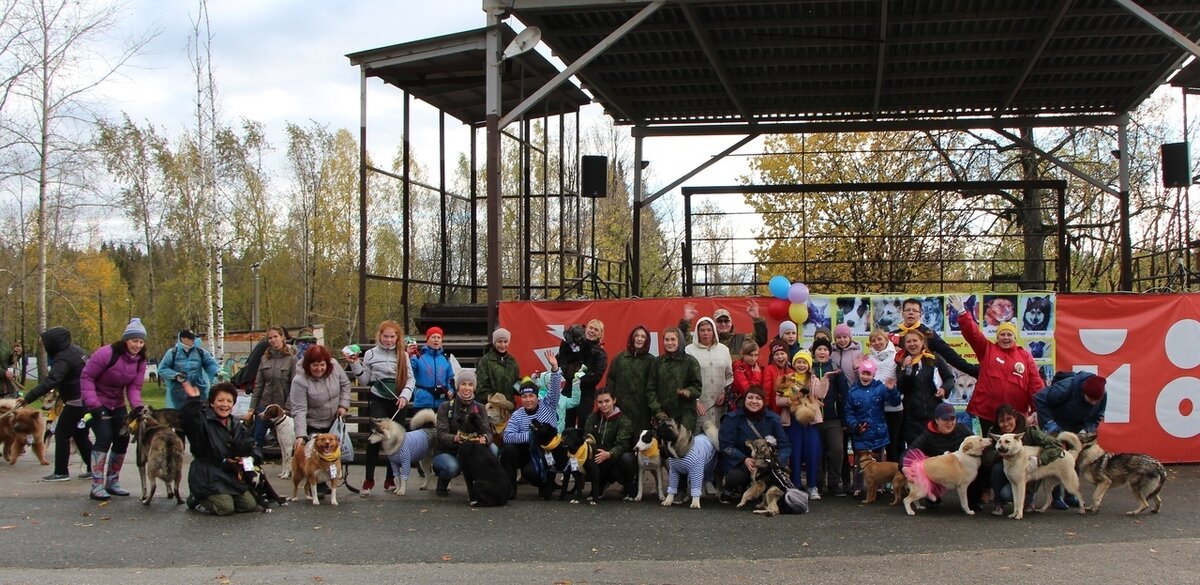 Наша первая выставка- пристройство в городском парке культуры и отдыха " Ермак" 29.09.2018 г