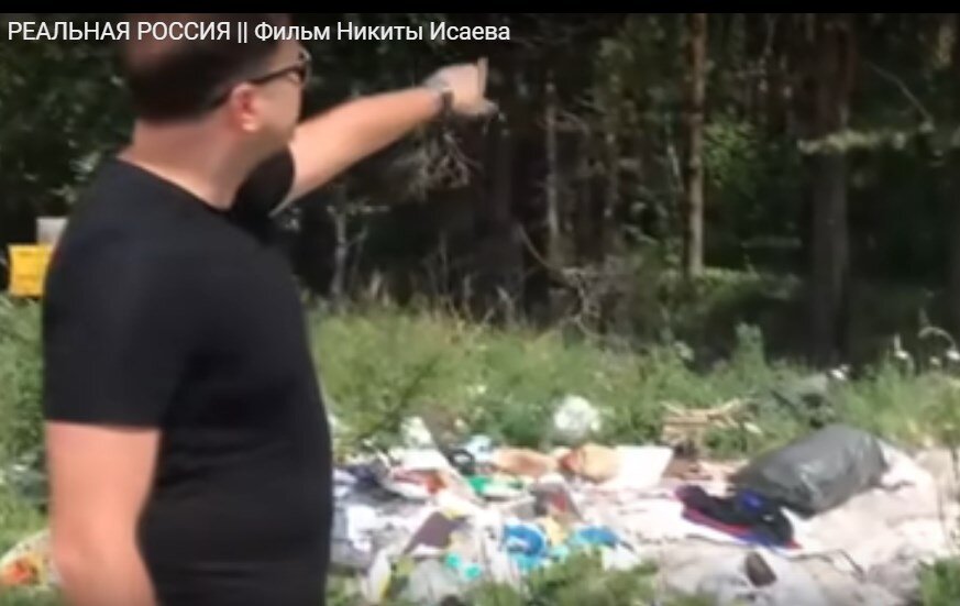 Продается сосновый лес под строительство мусорного полигона во Владимирской области