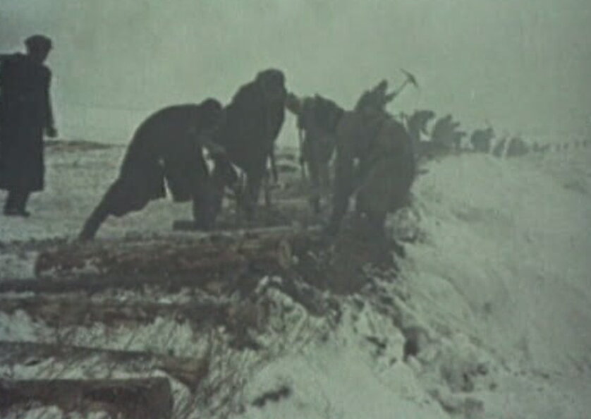 Вот на это он способен.