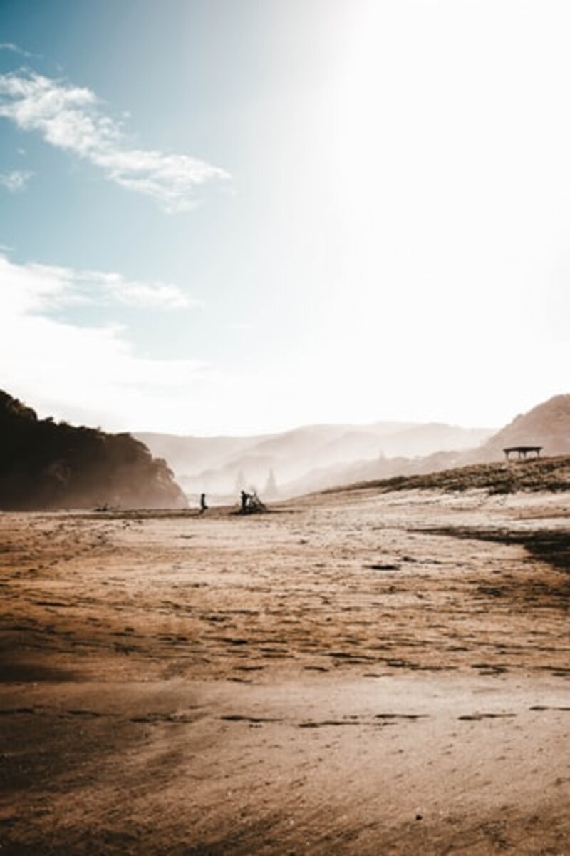 https://images.unsplash.com/photo-1533199109324-2d6d2b305956?ixlib=rb-1.2.1&ixid=eyJhcHBfaWQiOjEyMDd9&auto=format&fit=crop&w=334&q=80