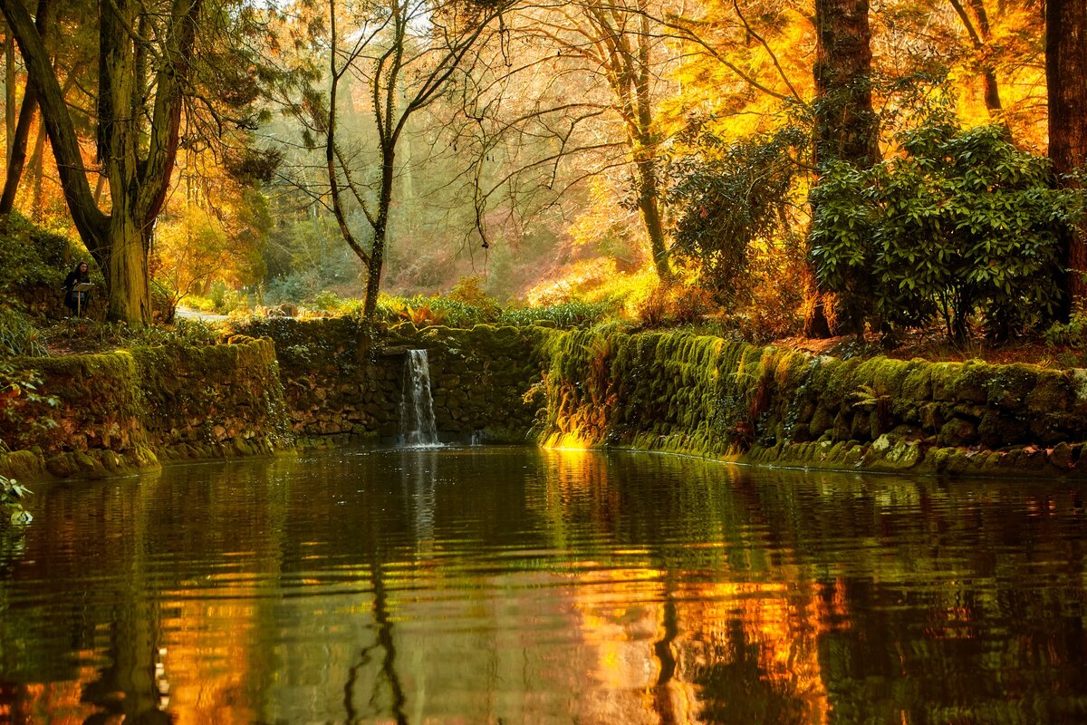 Парк вокруг дворца Пена