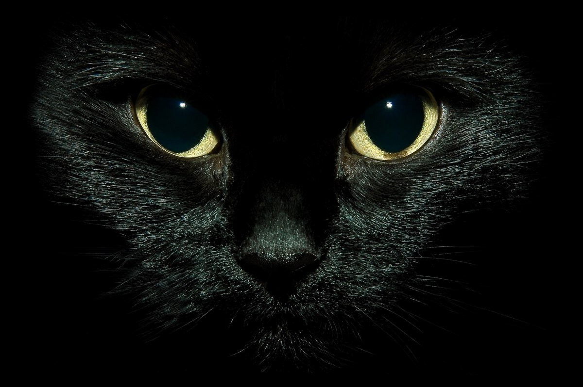 Источник фото: https://events72.ru/