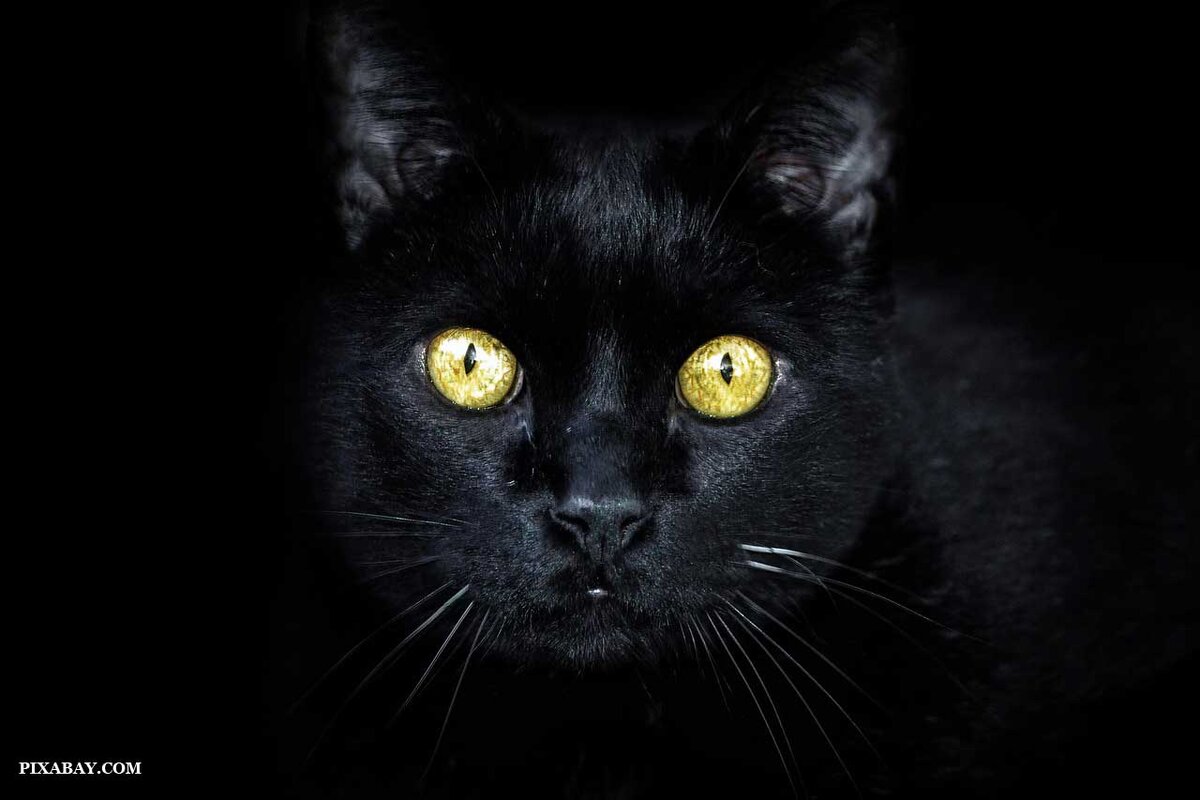 Суеверие о несчастьях в пятницу 13 