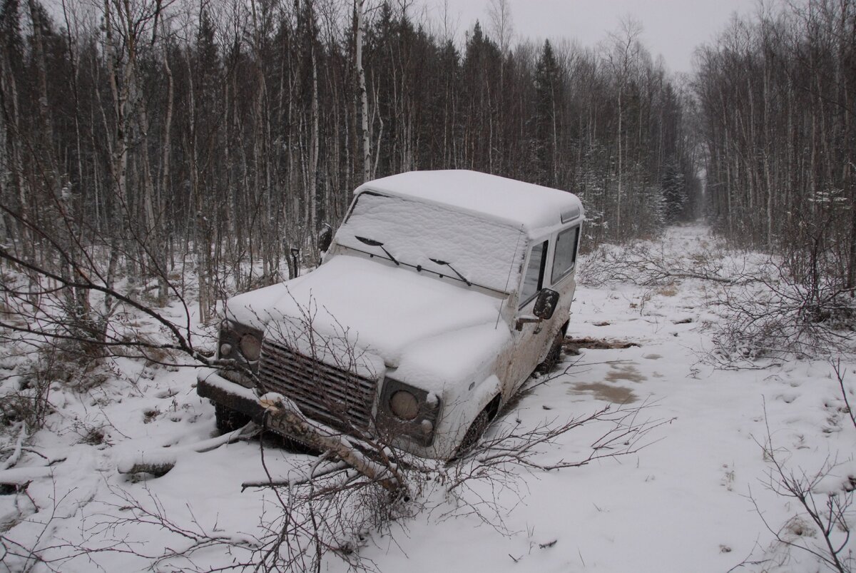 Заночевали в ладожском болоте 2 января. Застряли на LR Defender |  АВТОТУРИСТ | Дзен