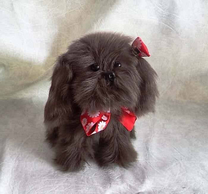 Собачка  малышка Тибби