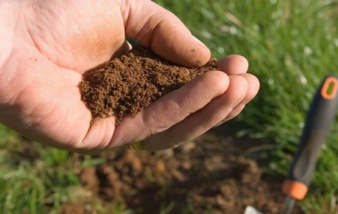 Как самостоятельно определить кислотность почвы. Старый проверенный метод