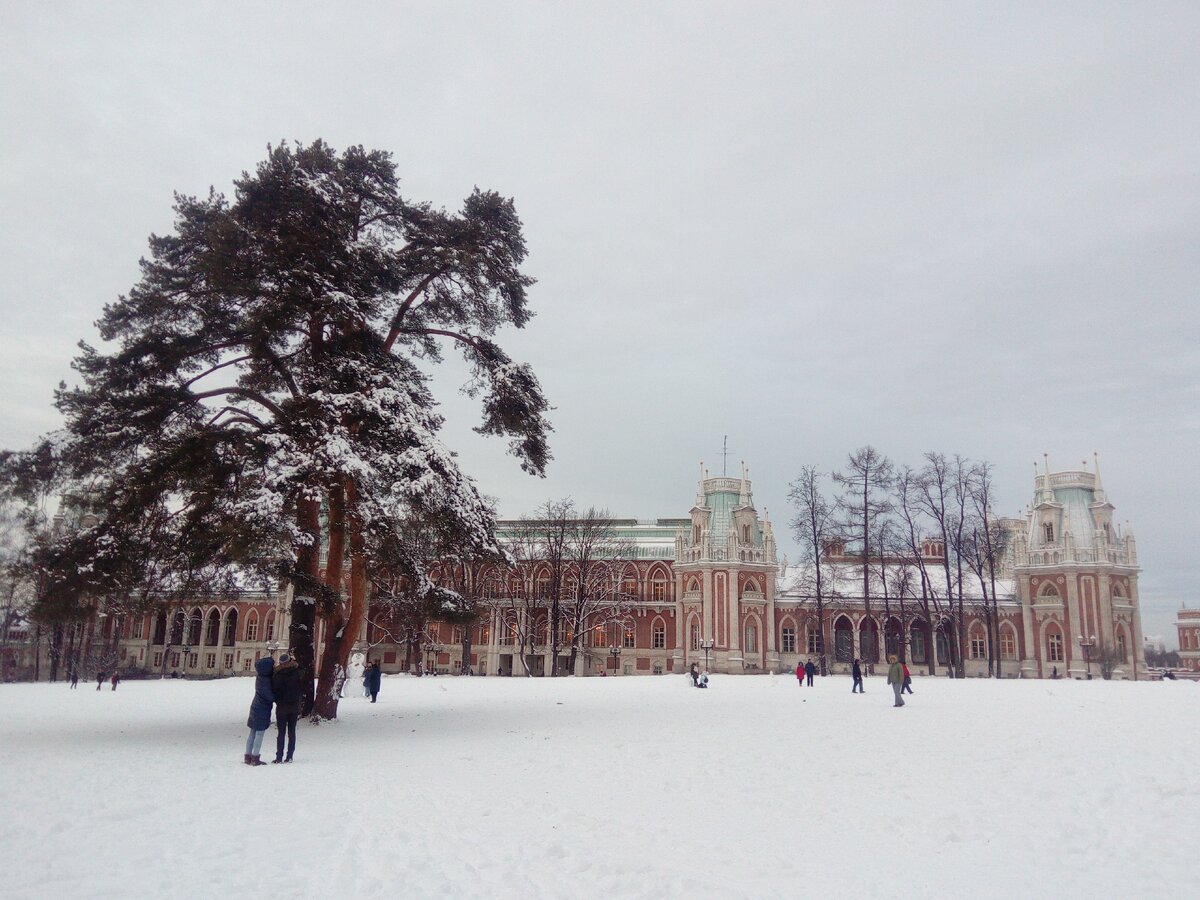 зимний парк москва