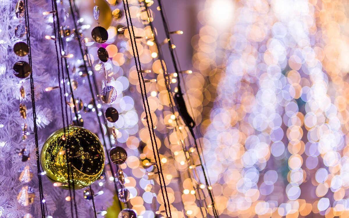 Картинка из свободных источников.