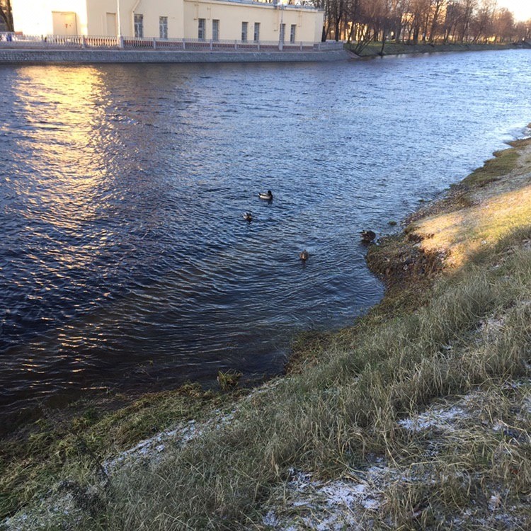 Фото: Алексей Управителев