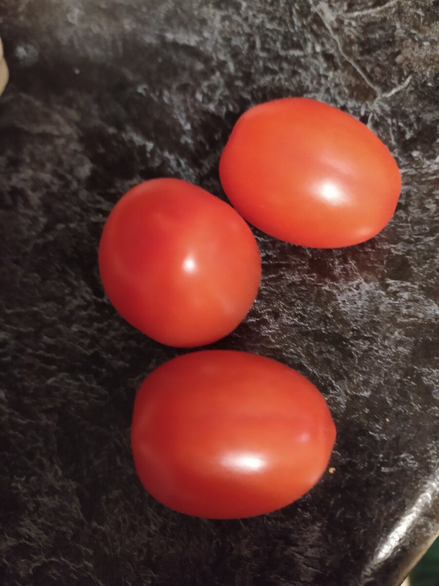 Поел на днях помидорок, вкусные были.