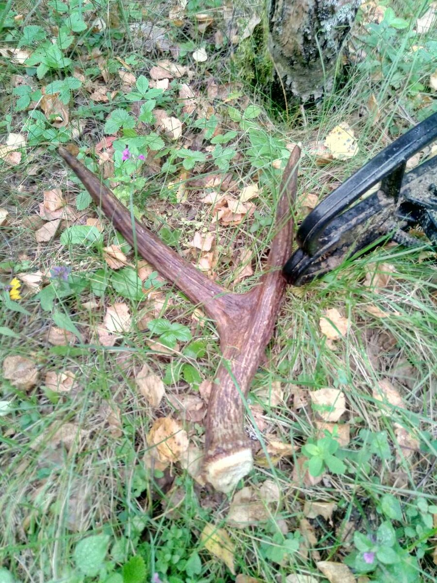 фото из личного архива