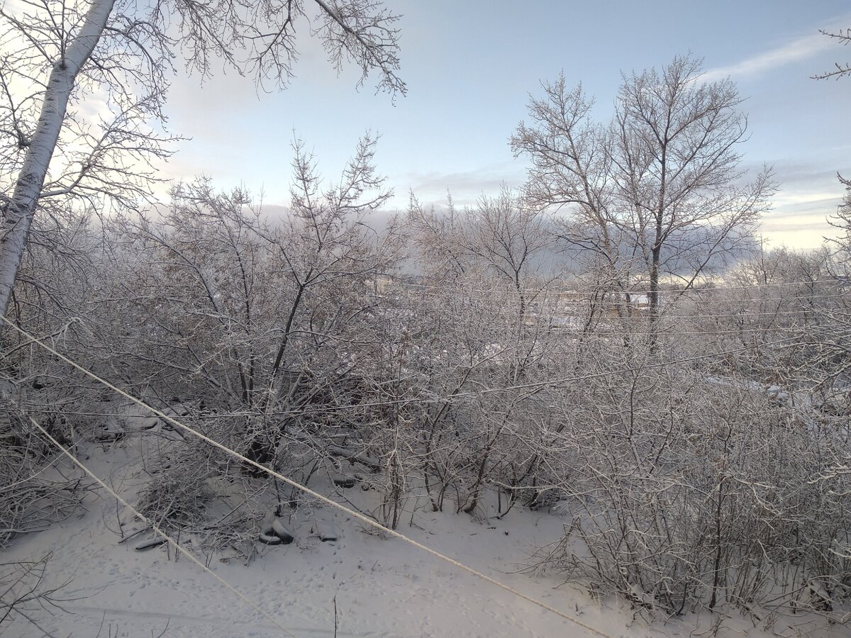 первоянварская благодать