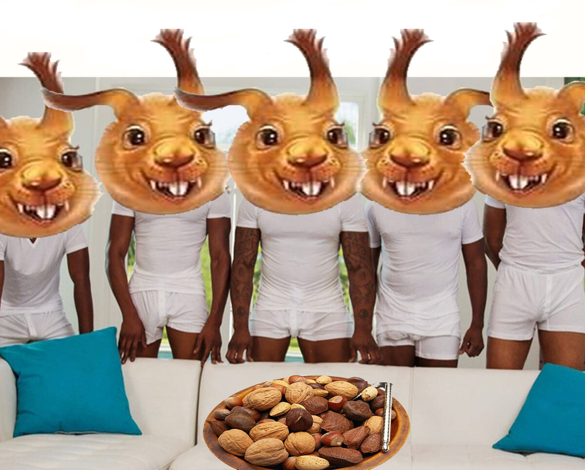 Фото-факт с канала дискавери... белки в дикой природе..... охотятся на орехи... группами.