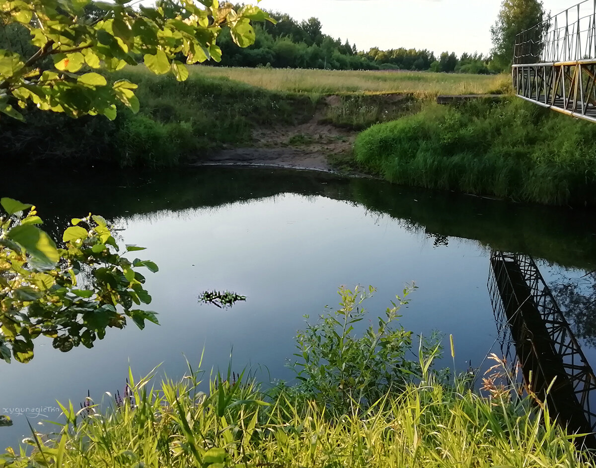 Что это там плывёт по реке?