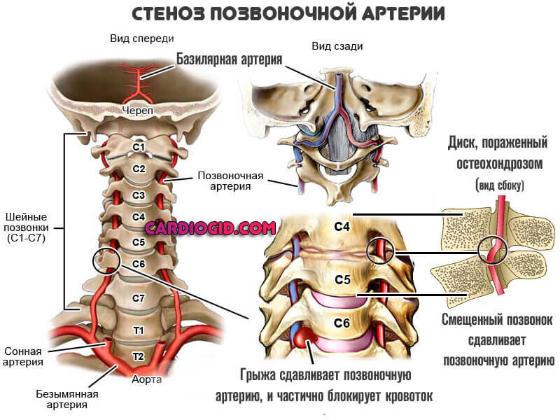 Из открытых источников Яндекса