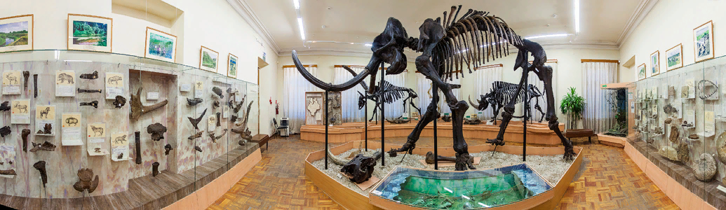 Музей «Городская Дума»