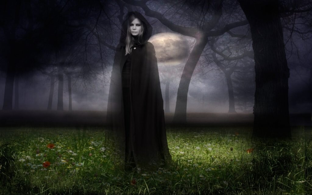 Фото 2: мои-правила РФ 