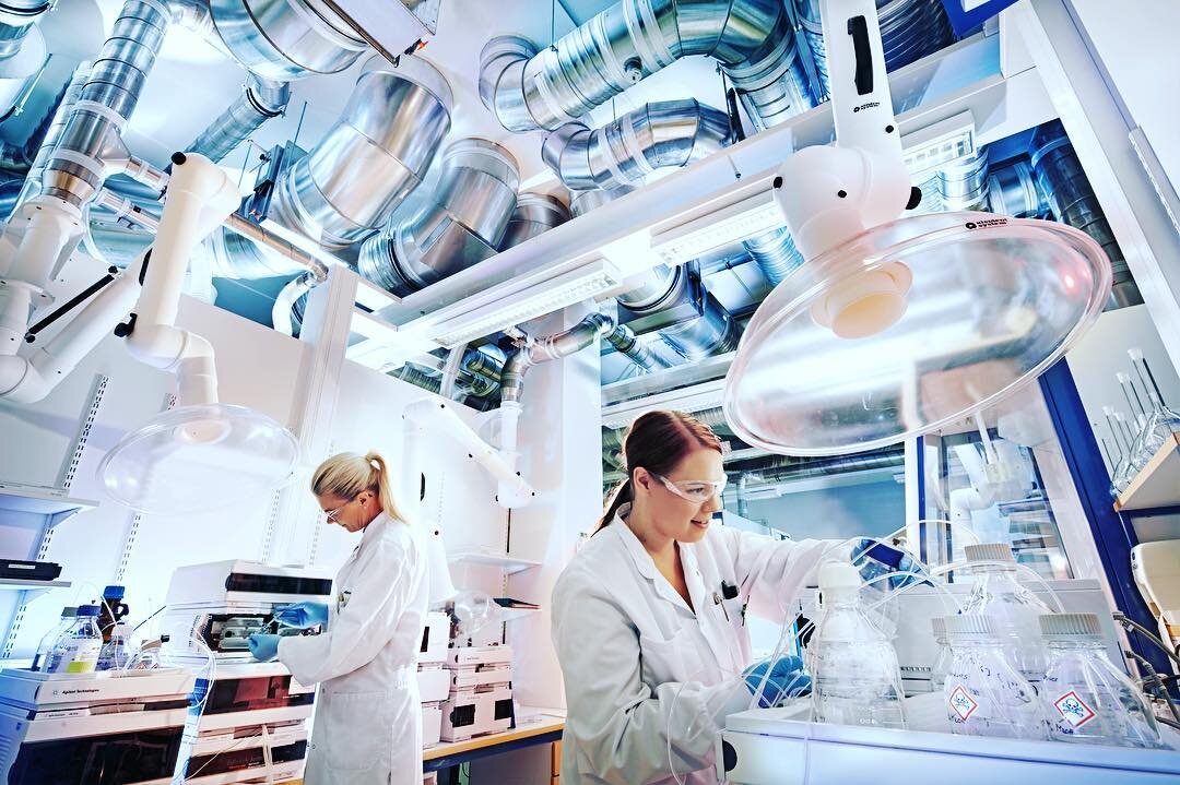 Bayer