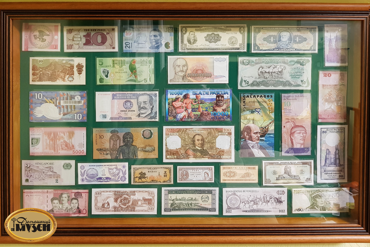 Banknote museum. Коллекция банкнот. Коллекция монет и купюр. Стенд для коллекции монет. Витрина для коллекции купюр.