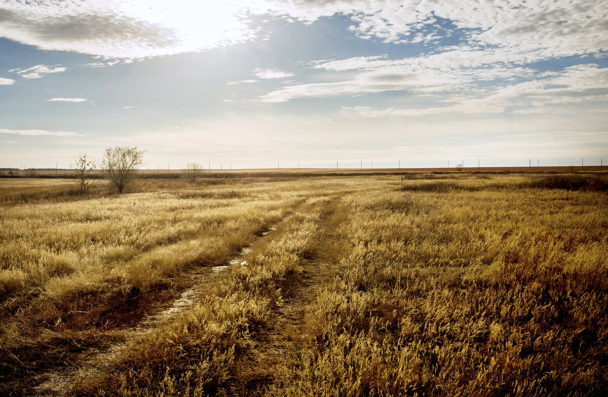 Фото из личного архива. Осень 2015 год
