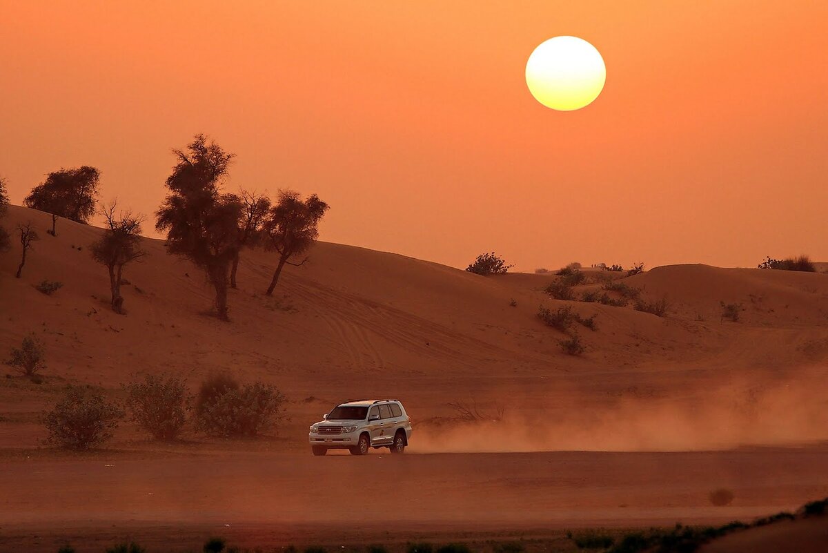 Desert Safari Дубаи