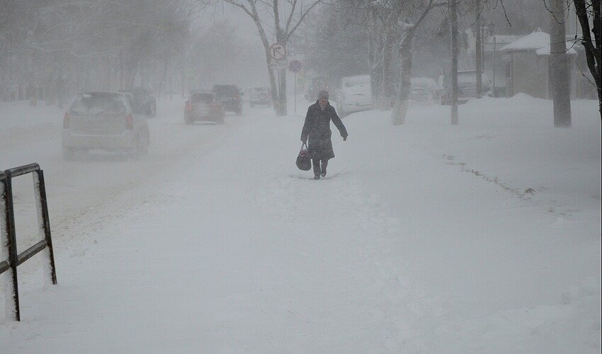 Фото: архив skr.su