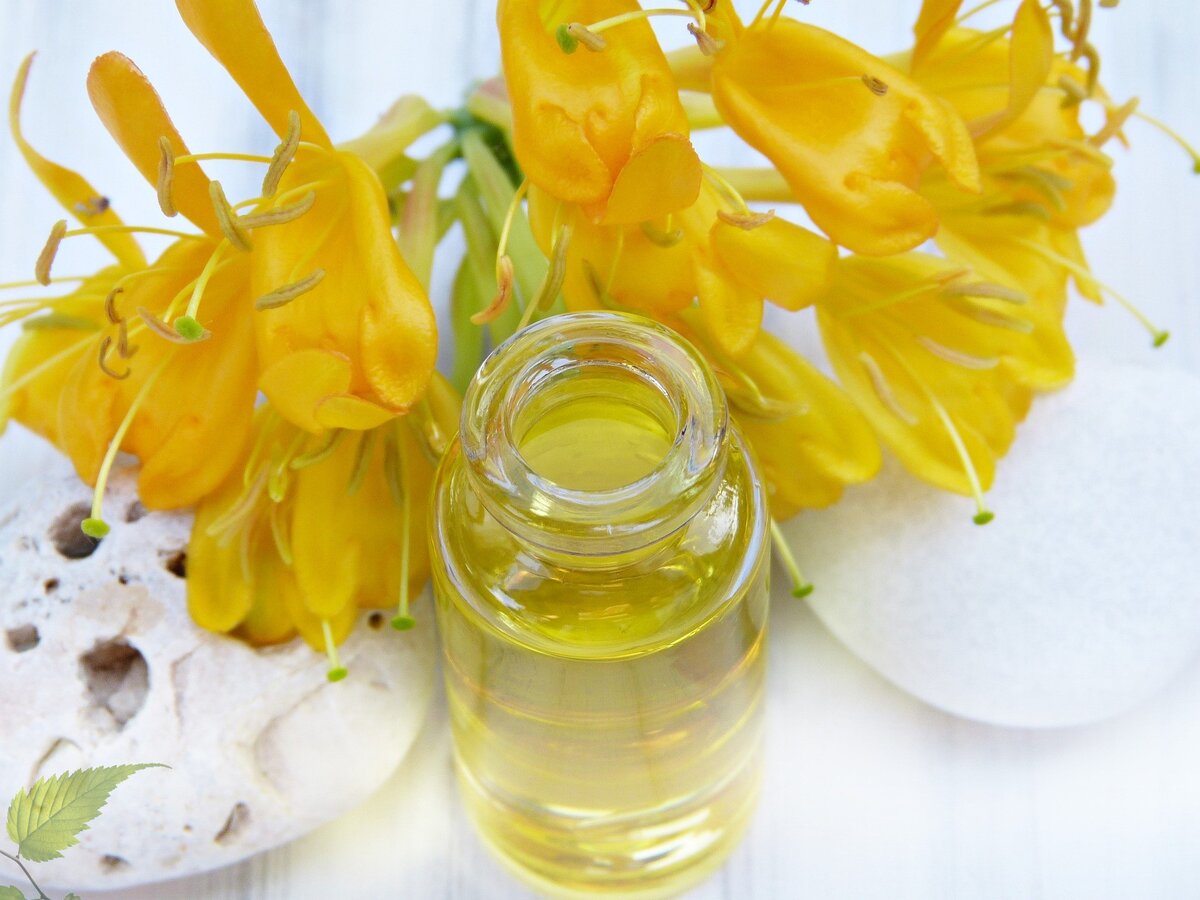 Фото: silviarita https://pixabay.com/