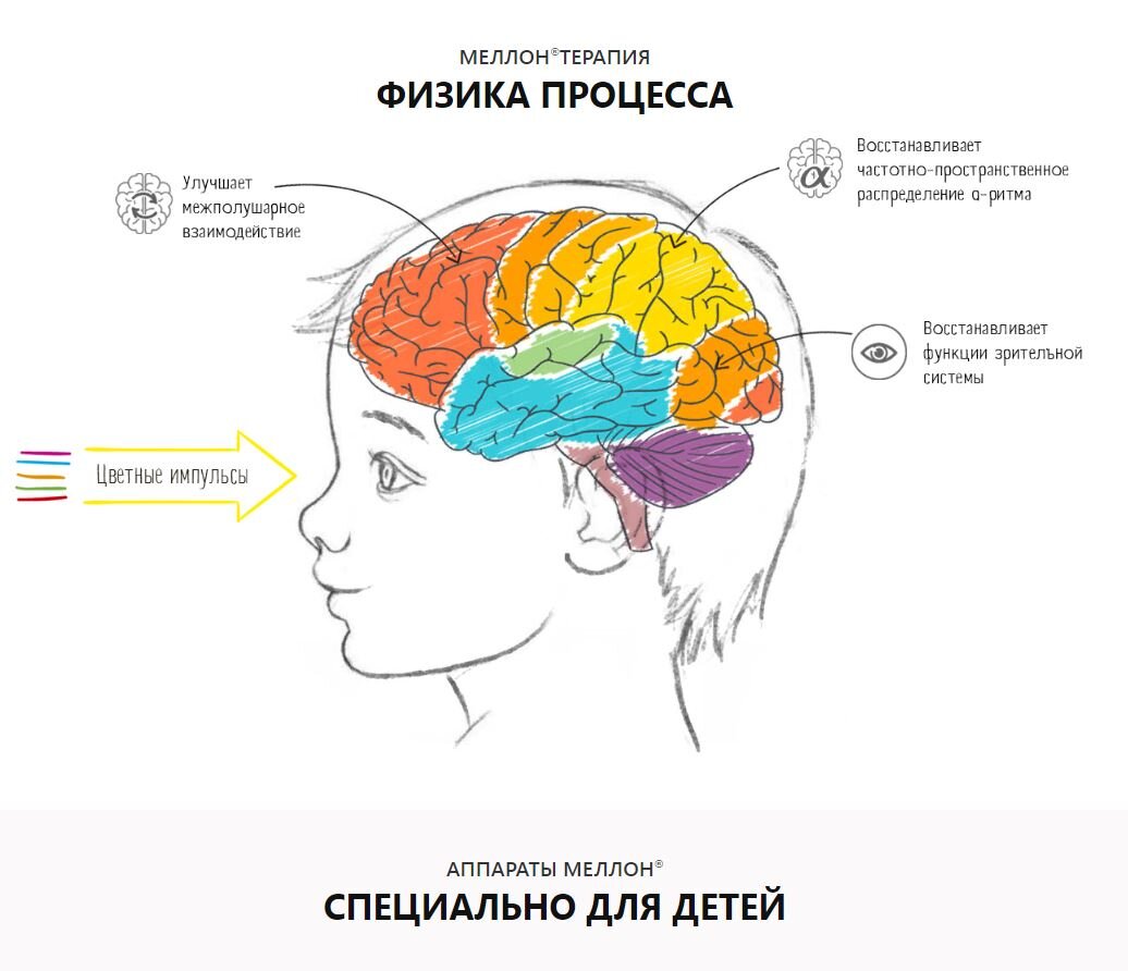 Карта тела повторяй и развивай свой мозг