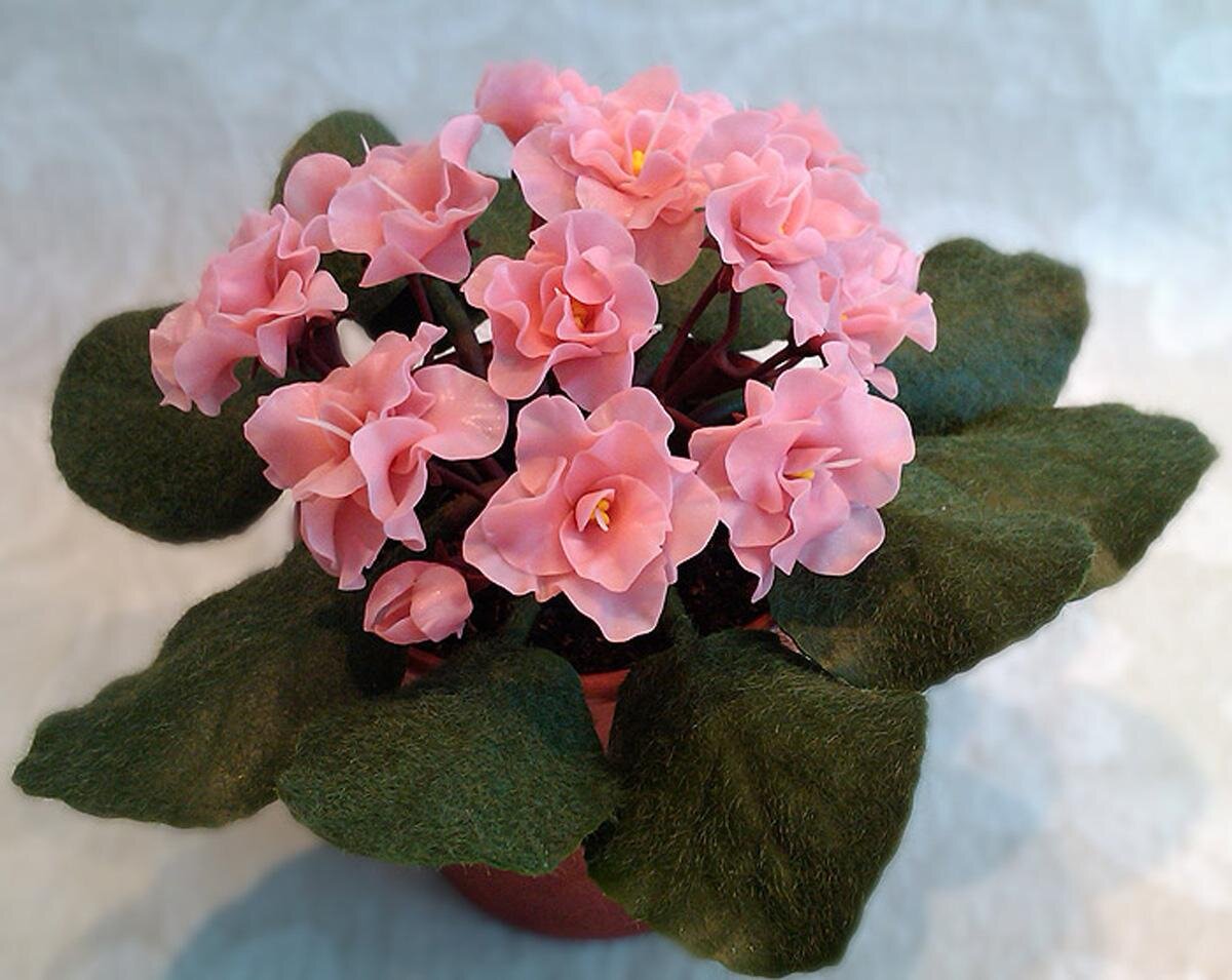 https://gardensecrets.ru