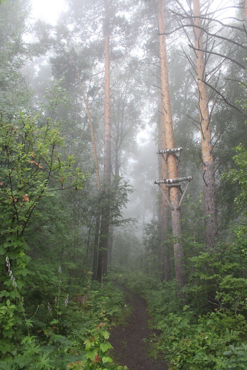 Указатель тропы к вершине горы Круглая