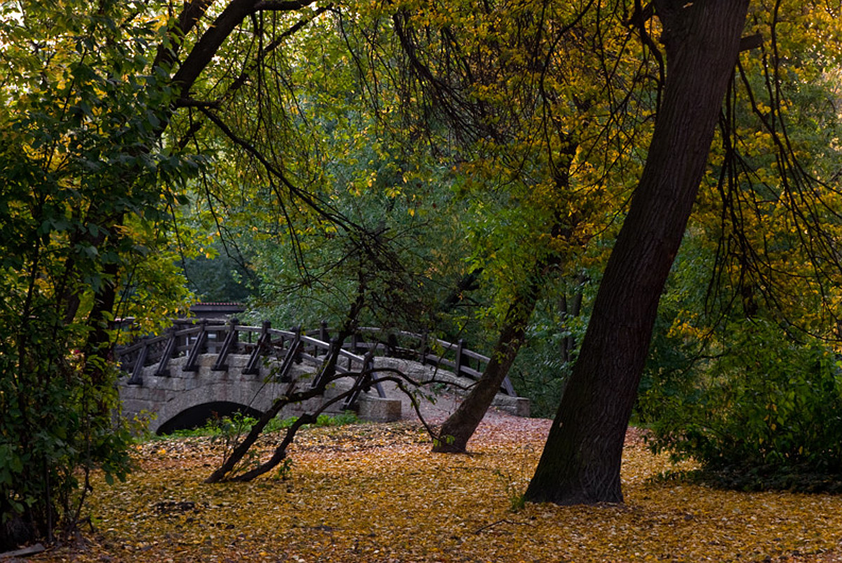 Екатерингофский парк фото