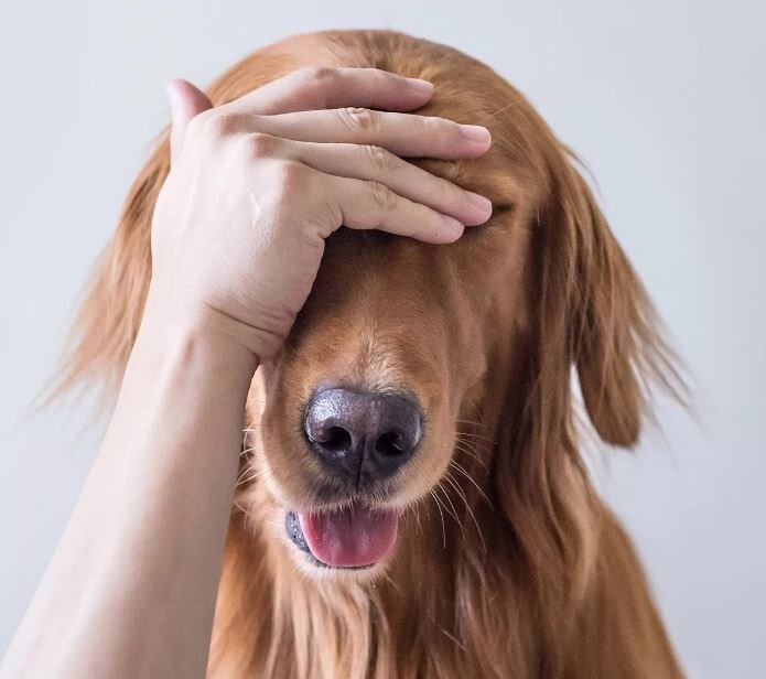 Изображение взято с сайта  m.fishki.net