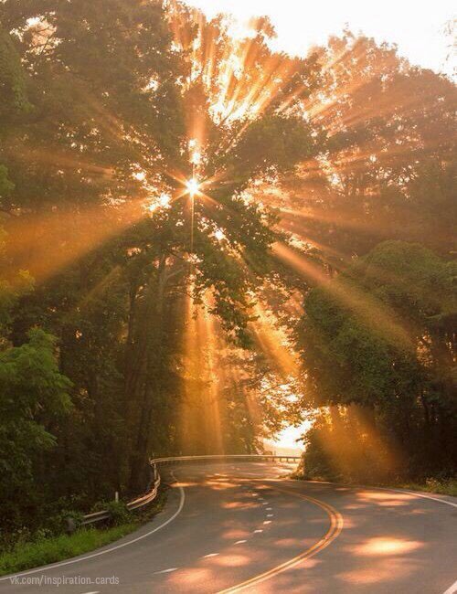 С просторов интернета