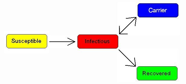 Восприимчивые - > Зараженные -> Носители ИЛИ Излечившиеся