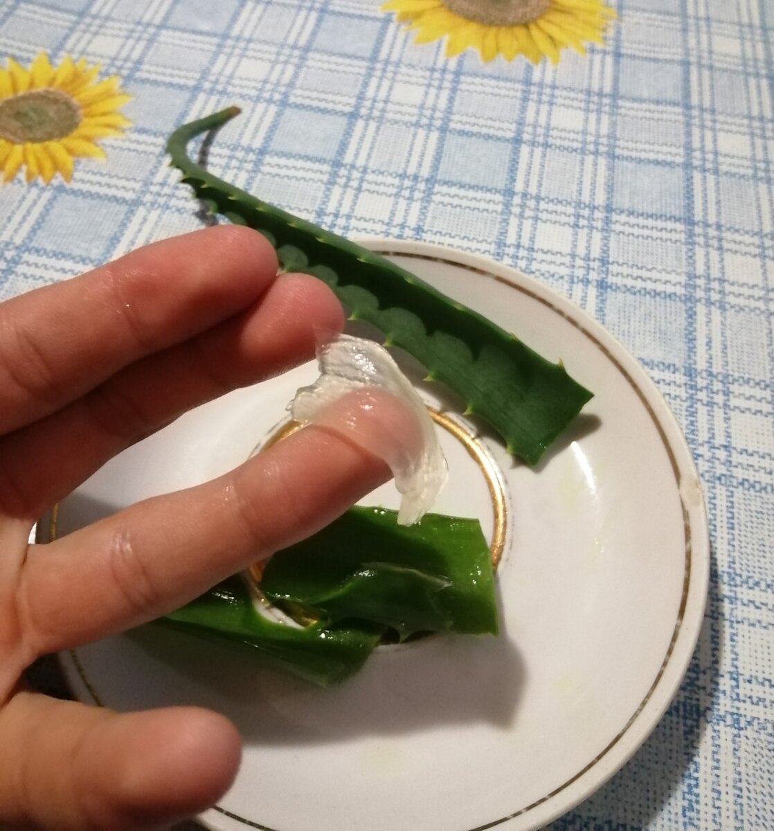 Алоэ
