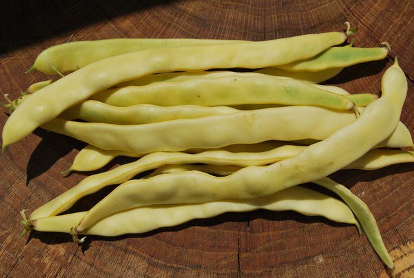 Фото из просторов интернета. Туршевая фасоль.