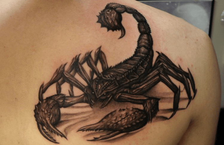 Тату скорпион ( фото) - значение татуировки, эскизы 
