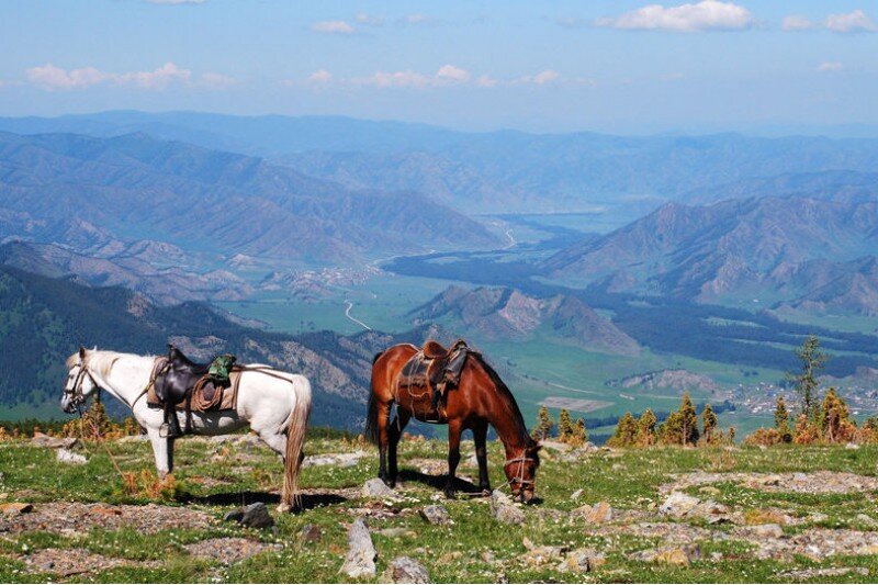 Фото: Яндекс картинки