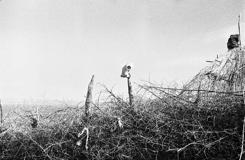 Оберег-лошадиный череп. Фото 1958 года из коллекции Российского этнографического музея https://goskatalog.ru/portal/#/collections?id=18504638