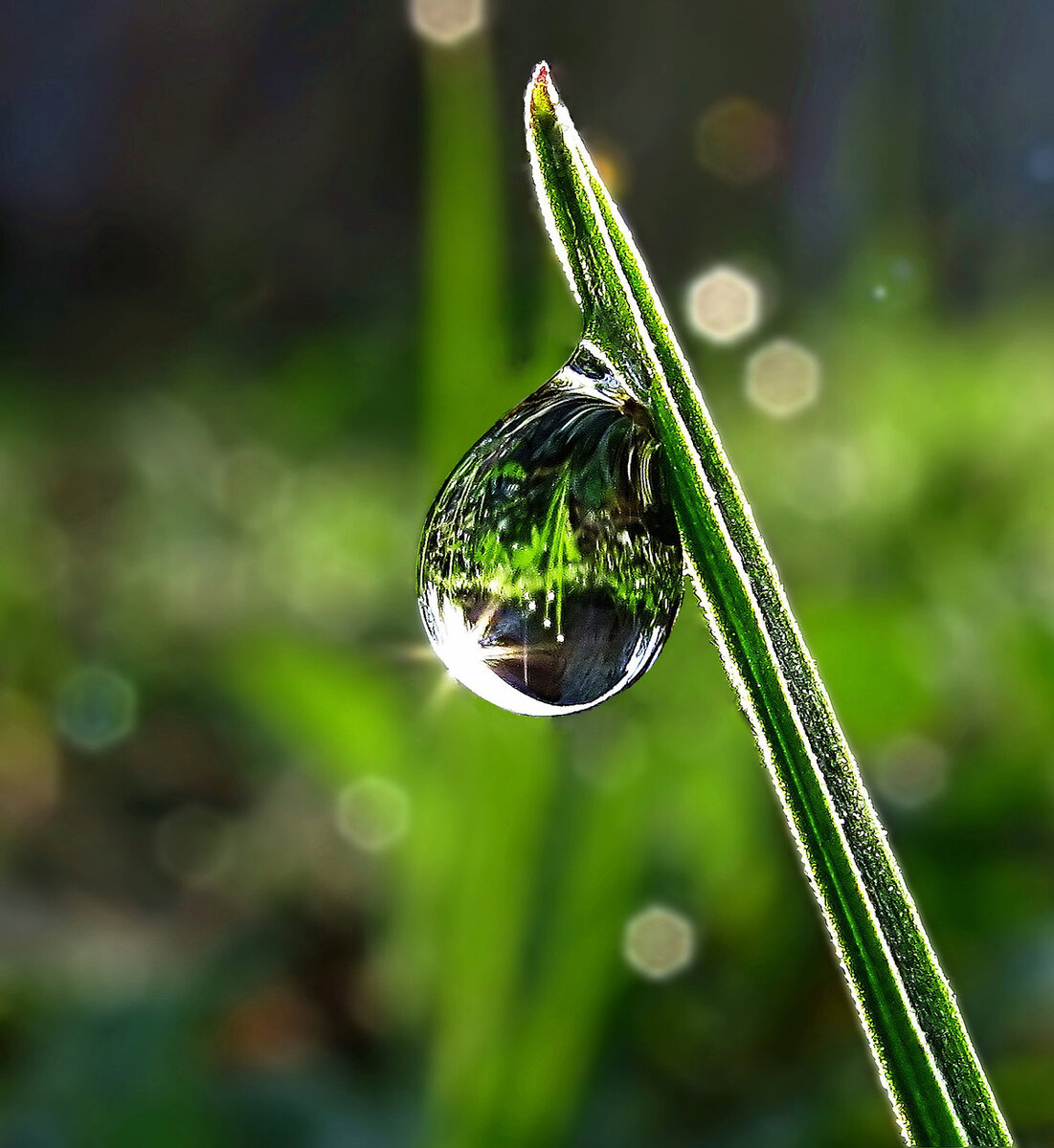 Фото взято из открытого источника