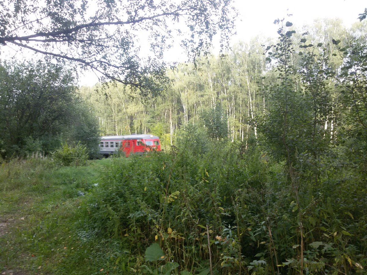 Подмосковные пейзажи. Фото автора