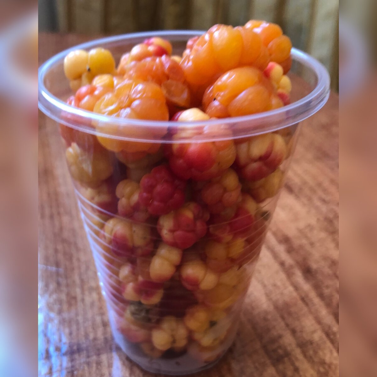 Морошка, редчайшая ягода