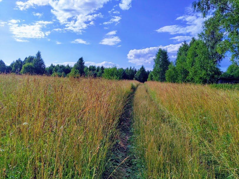 из личного архива