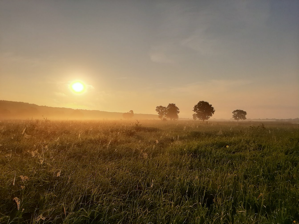 фото из личного архива