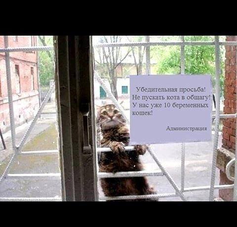 Убедительная просьба.....