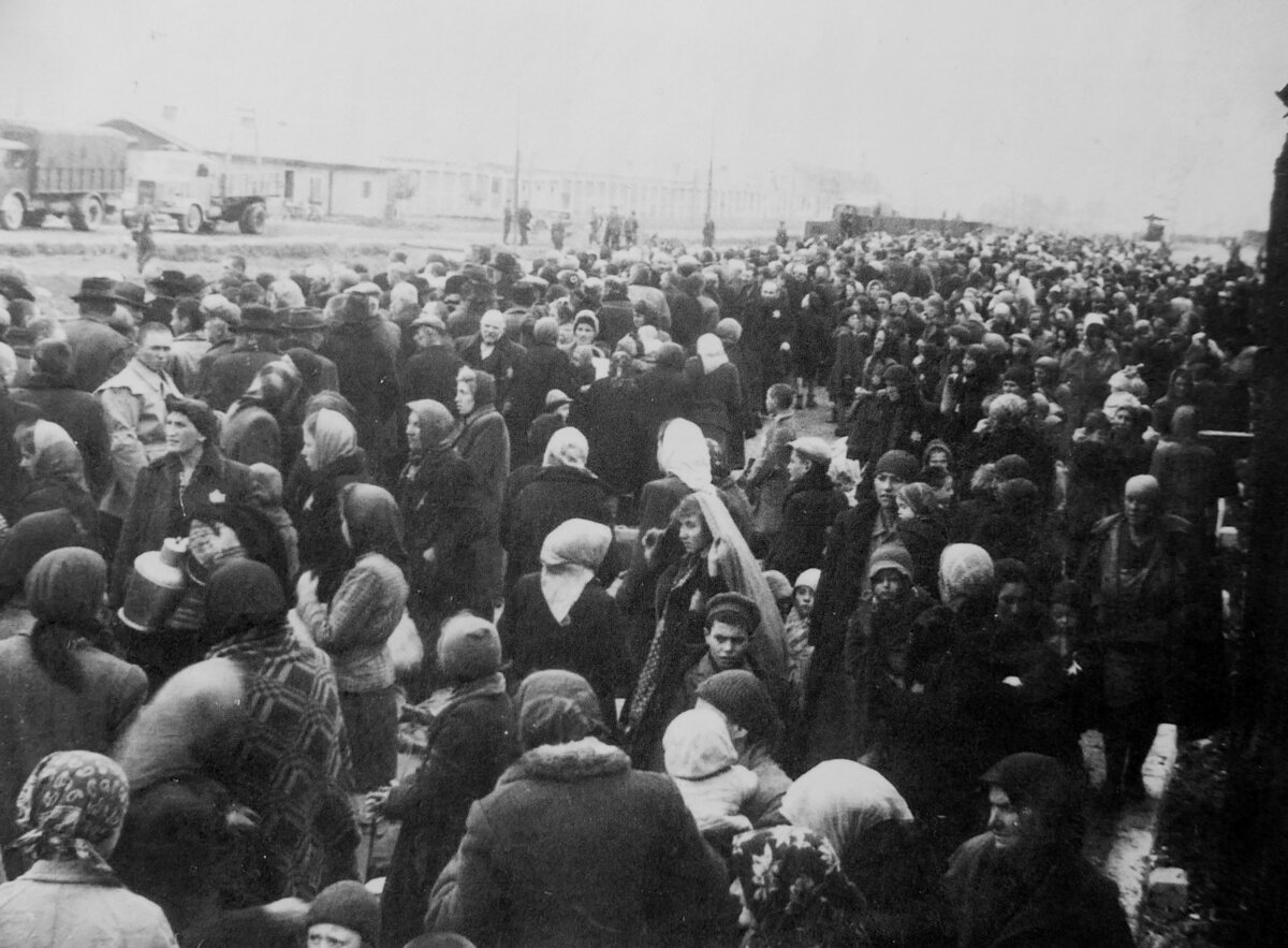 Воспоминания очевидцев 1941. Воспоминания очевидцев. Воспоминания очевидцев Сталинградской битвы.