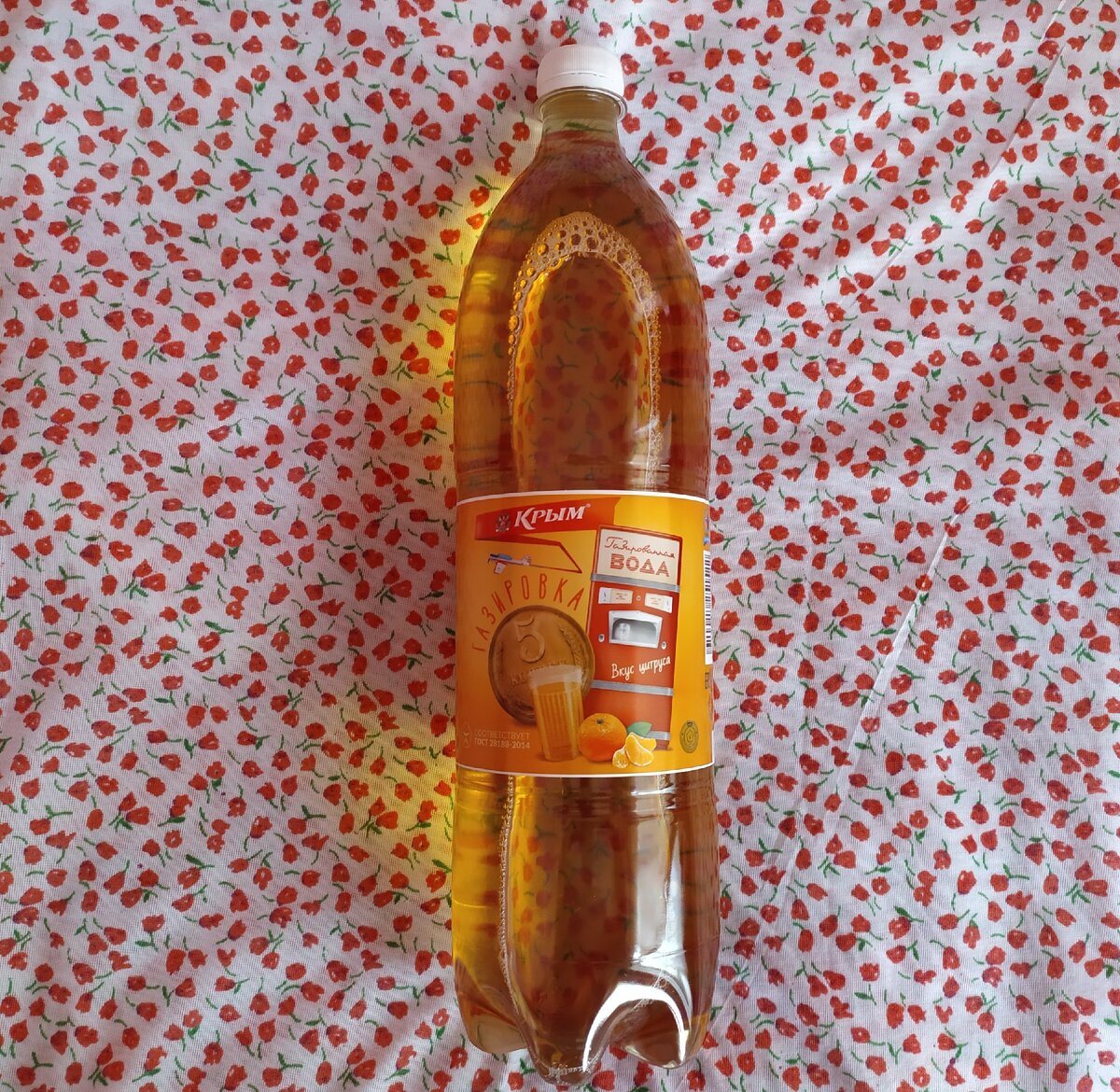 Личное фото автора.