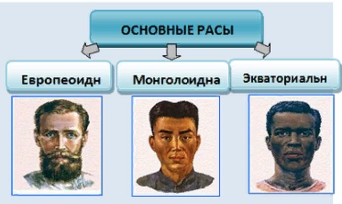 Рас п. Расы людей. Человеческие расы. Представители разных рас. Основные расы.